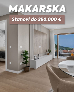 NOVI DOM